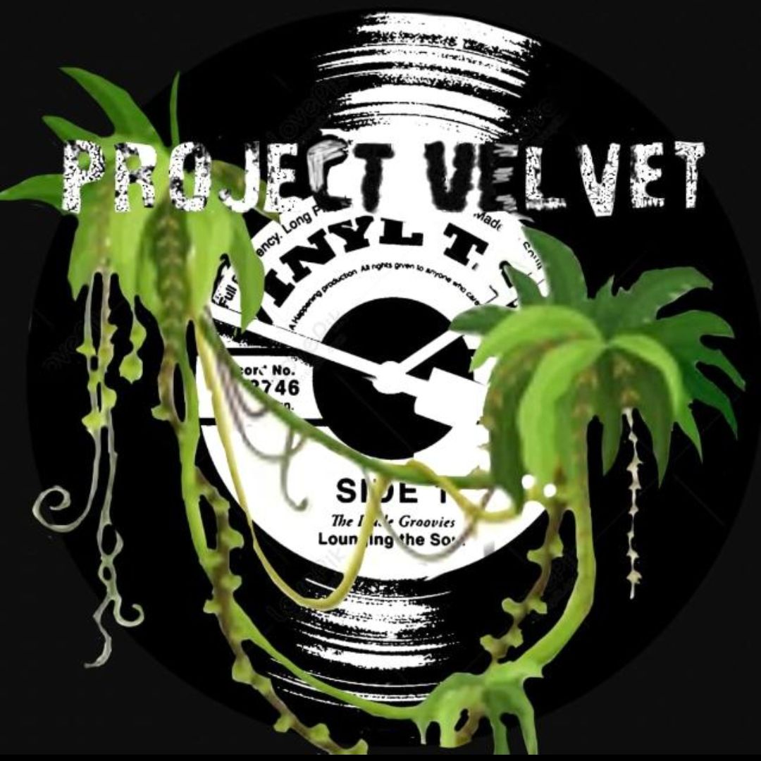 Project Velvet