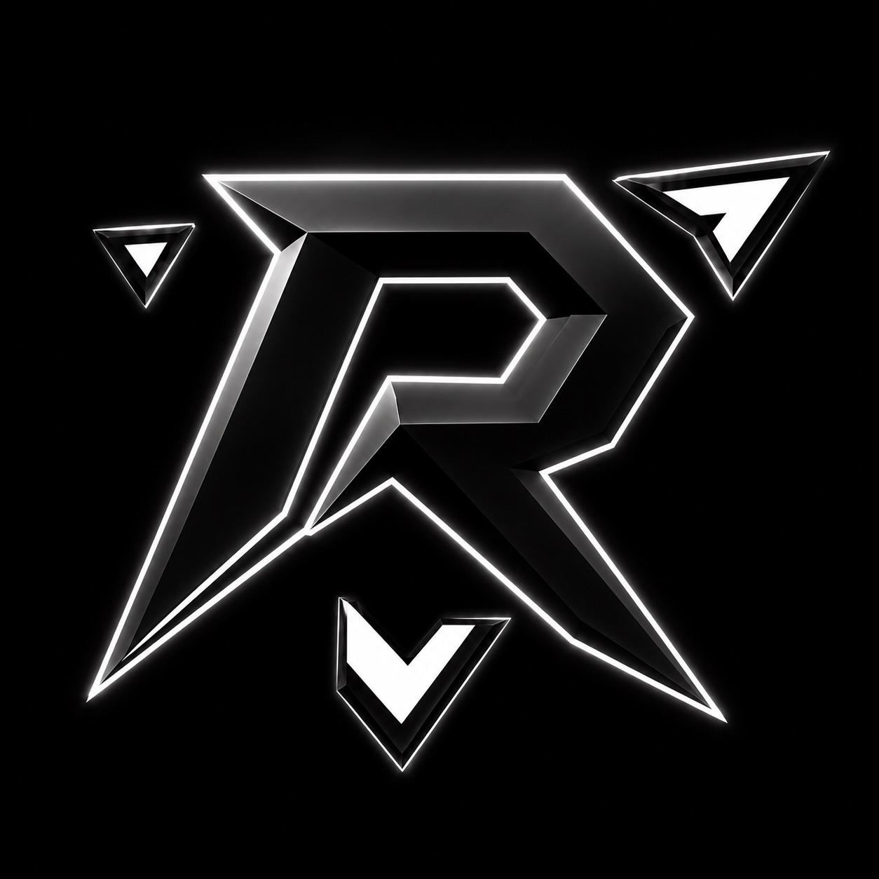 Raider 