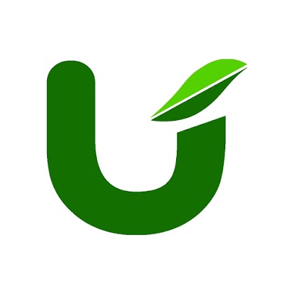 United Noodles 