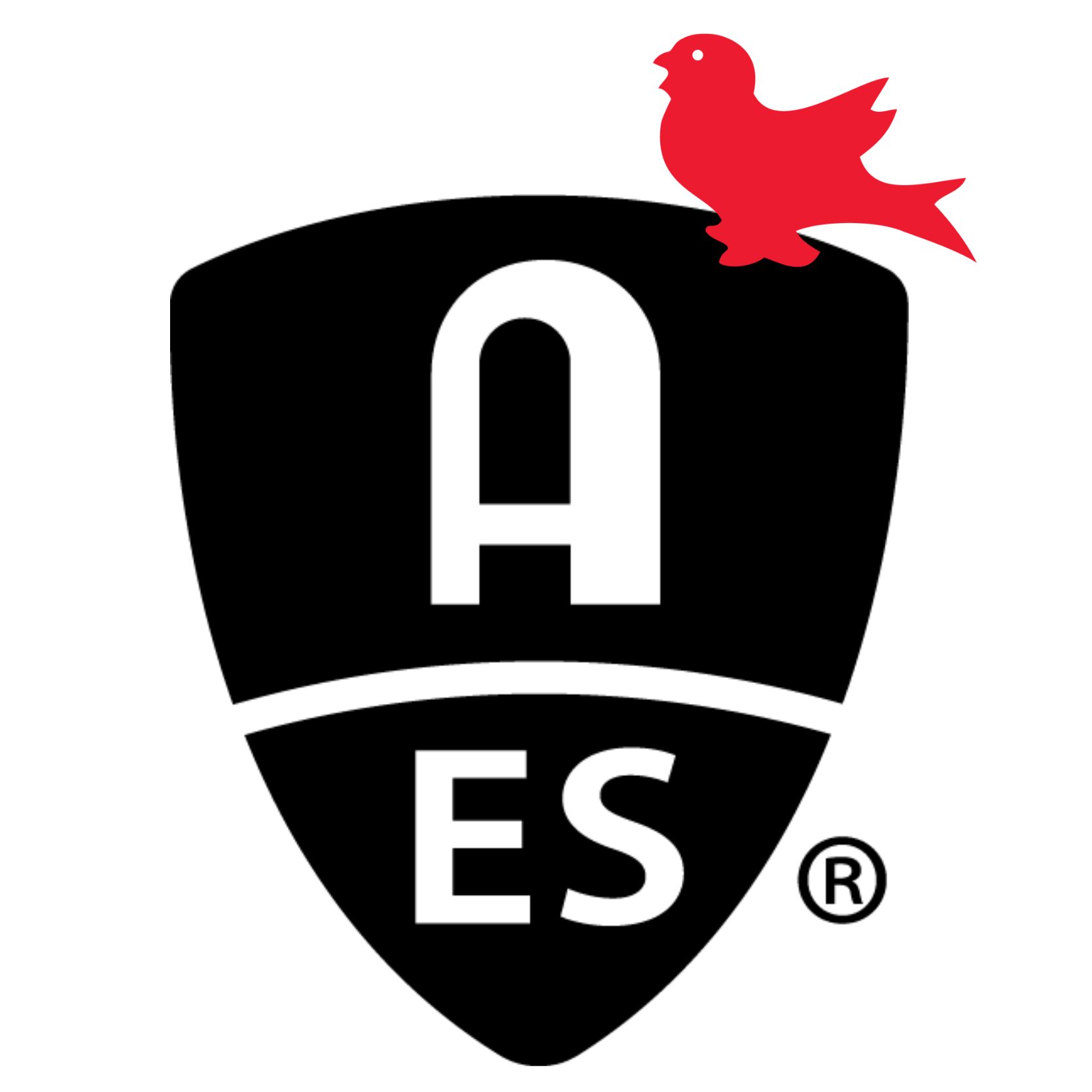 AES McGill