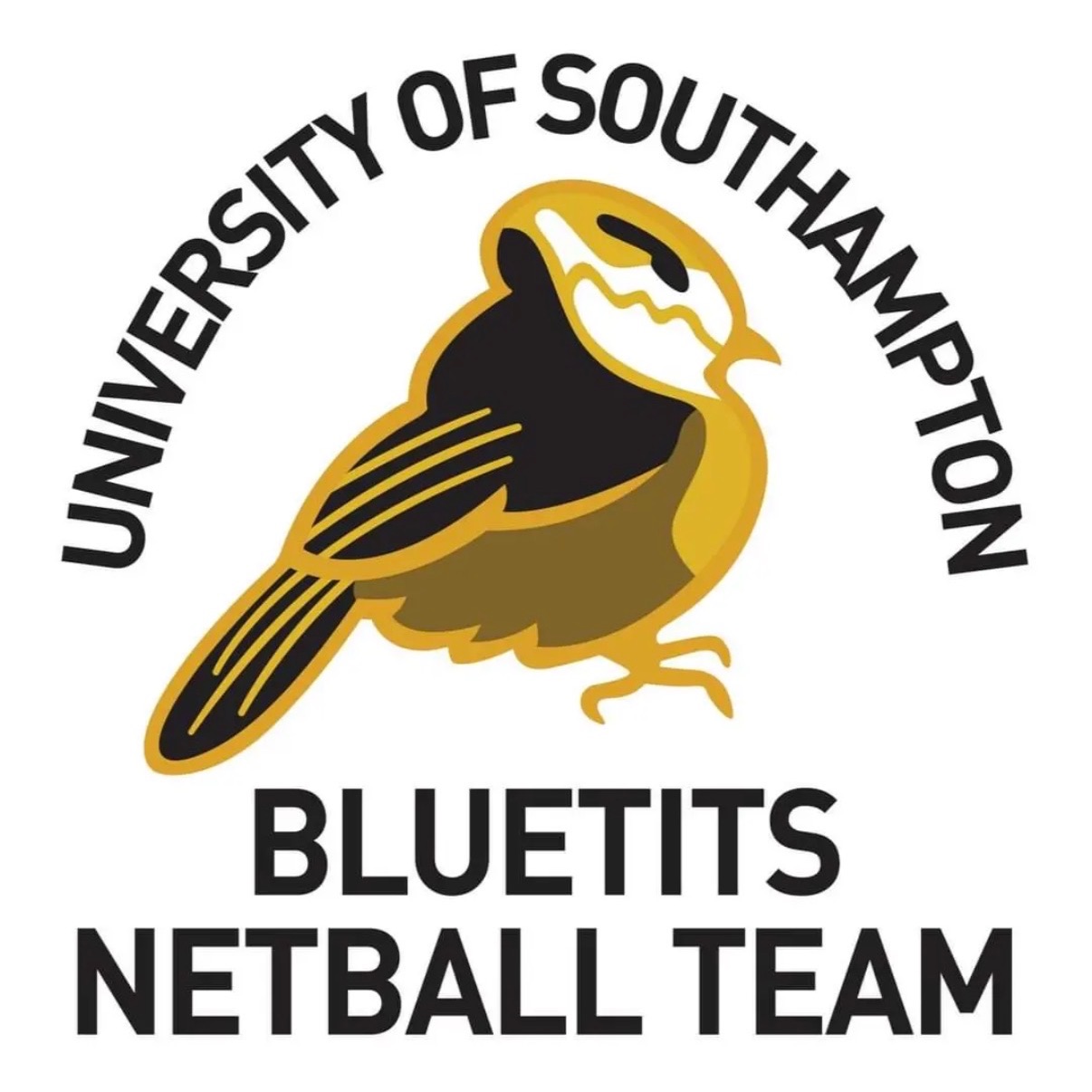 Bluetits netball 