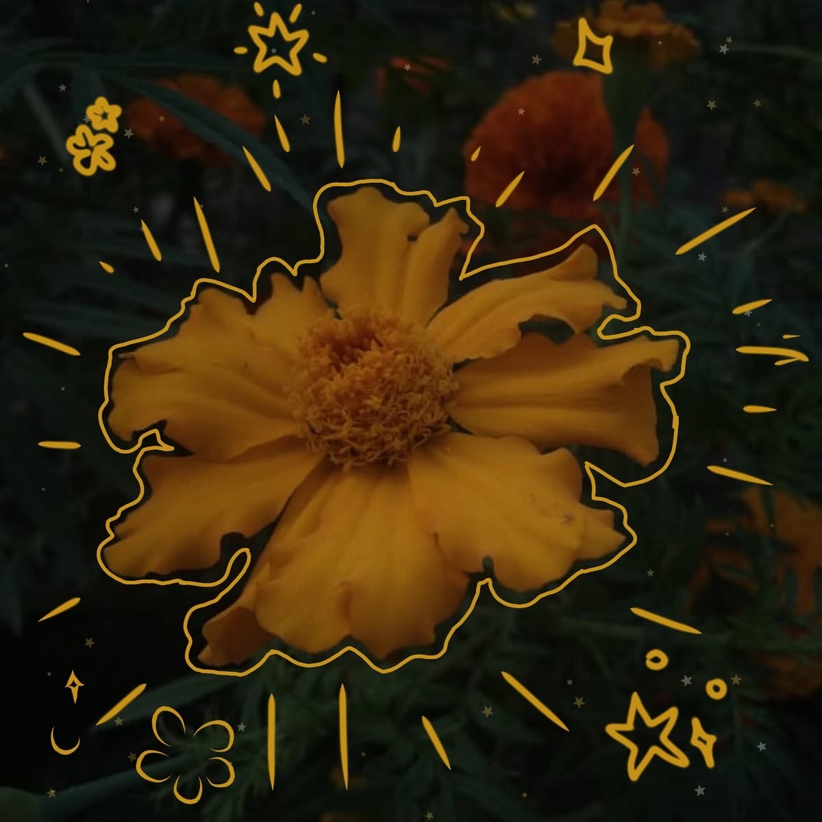 Mommy Marigold