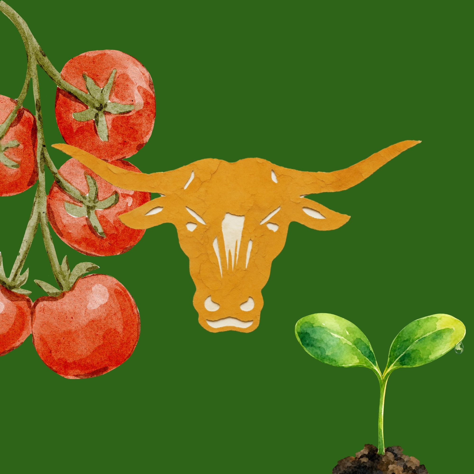 Leigh Gardening Club
