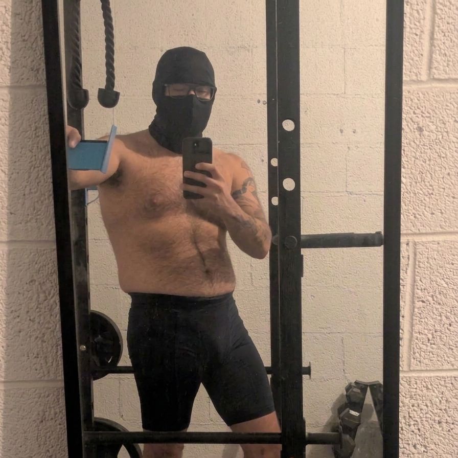 Themaskedwasian