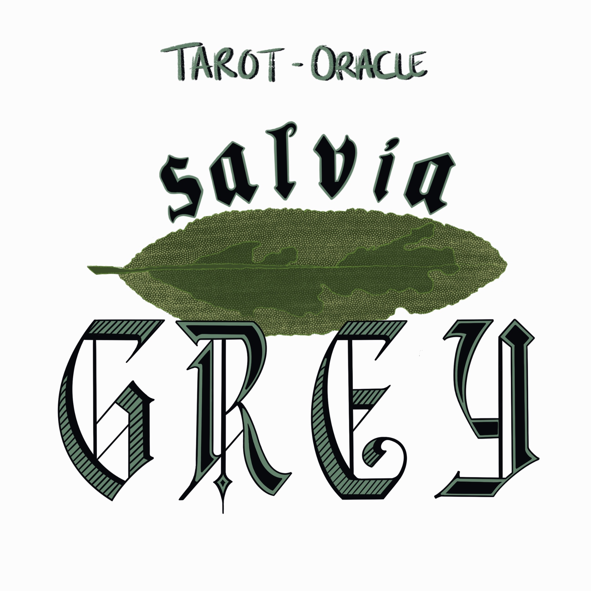 Salvia Grey