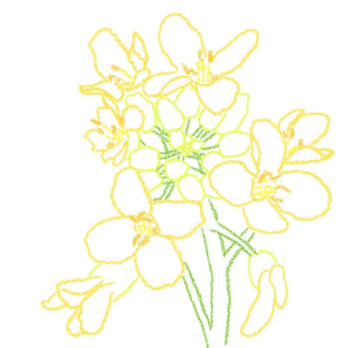 E. Thorne Herbalist